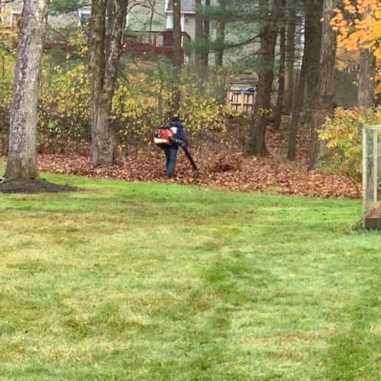 Spring and Fall Clean Up Service in Lawnrence, MA - Ortiz Rodas Landscaping and Construction